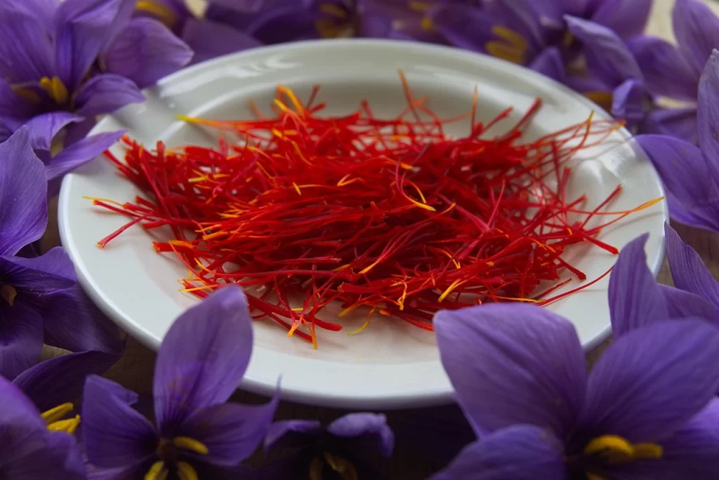 Benefits of Saffron: Discover the Golden Thread's Extraordinary Benefits