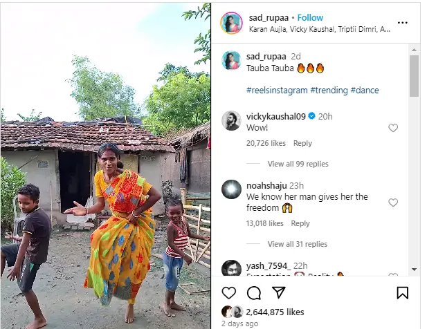 Vicky Kaushal's Wow Moment: Fan Rocks 'Tauba Tauba' Hook Step in Saree